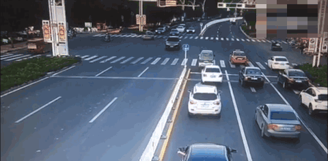 480_235gif 动态图 动图