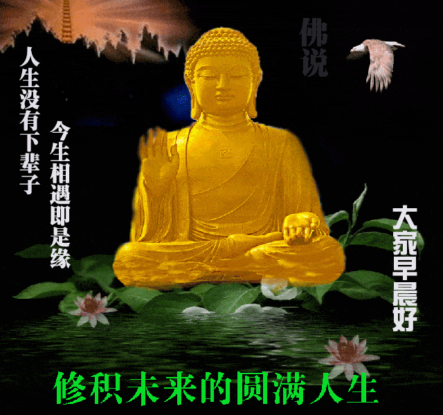 2021最新早安祝福语动态美图 早安问候祝福语送大家 腾讯新闻