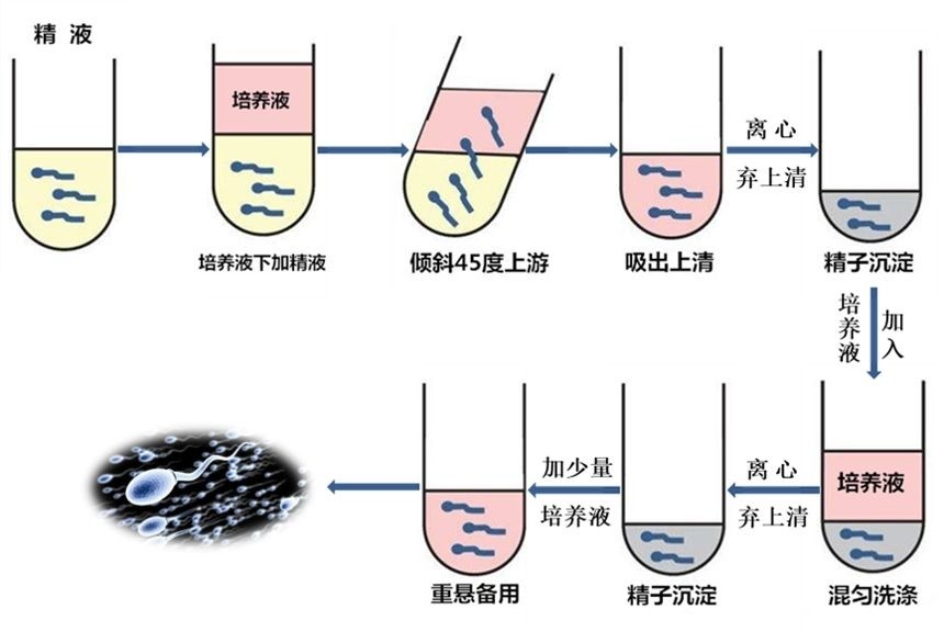 相關圖片