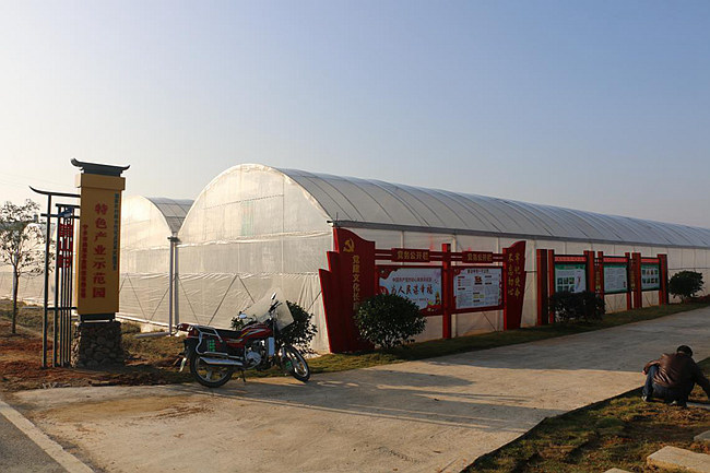 湖南省宁乡市大成桥镇鹊山村:鹊山模式打造乡