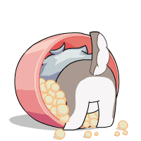 记者:汤盈盈 通讯员:吴璐璐编辑:汤盈盈责编:林志珊监制:温连光新罗区