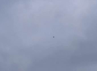 机场上空的无人机 《每日邮报》视频截图