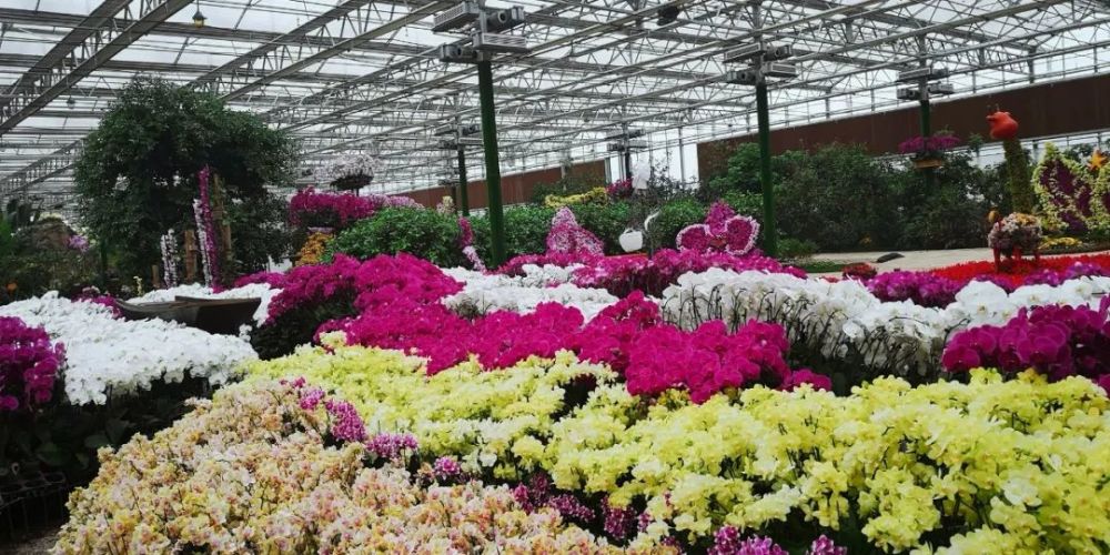 淮安国家农业科技园区核心区(淮阴区码头镇) 导航搜索:兰趣园也可以