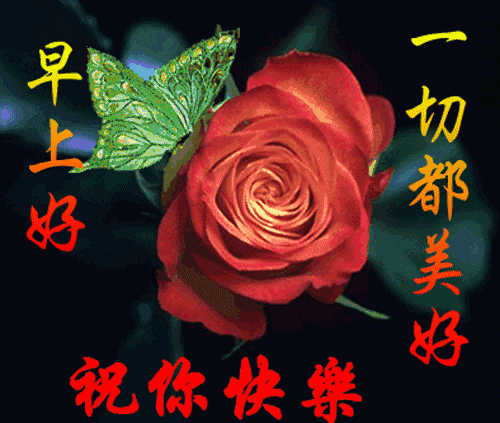 版|正月十二版早上好短信祝福语录大全，早晨暖心祝福语短信图片