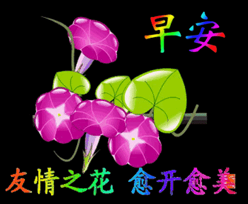 版|正月十二版早上好短信祝福语录大全，早晨暖心祝福语短信图片