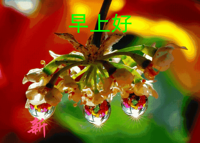 最新版最美早安问候图片带字温馨 早上好祝福动态图片