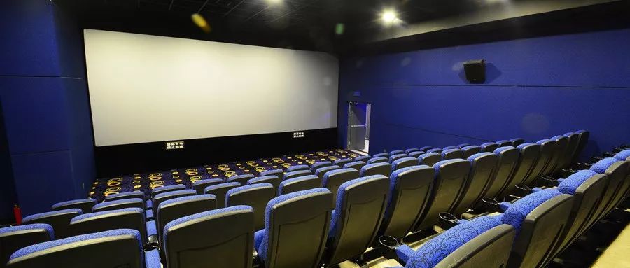 我不是药神,唐人街探案2,唐人街探案,导演,神探蒲松龄