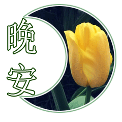 晚安问候语大全适合睡前群发晚上好问候动态表情图片