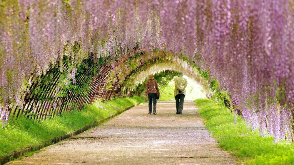 男人想娶回家的3个星座女,一旦爱上你,余生幸福满满