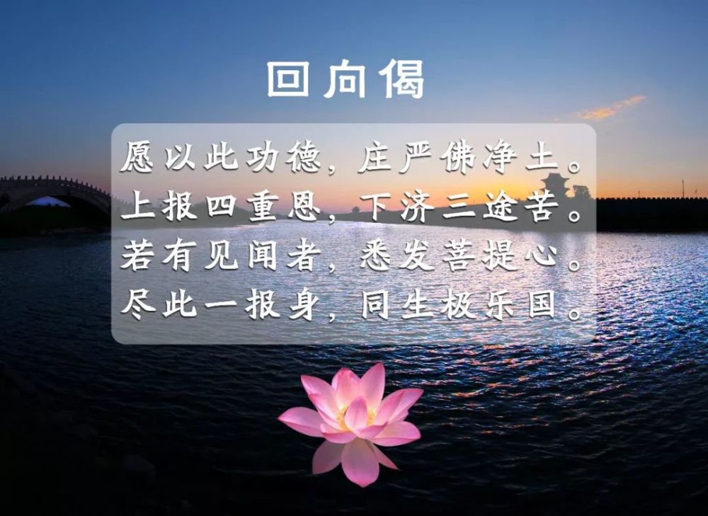 佛教故事《口业的因果》看故事 明因果