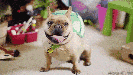 440_248gif 动态图 动图