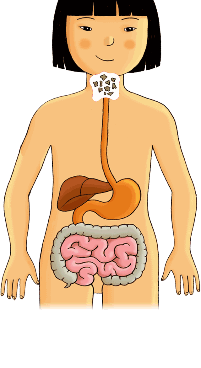 大肠蠕动图片