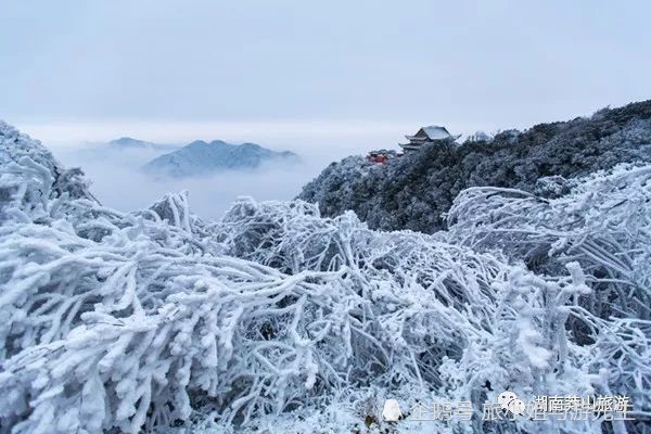 滑雪、泡温泉、看雾凇、观日出…郴州的冬天原