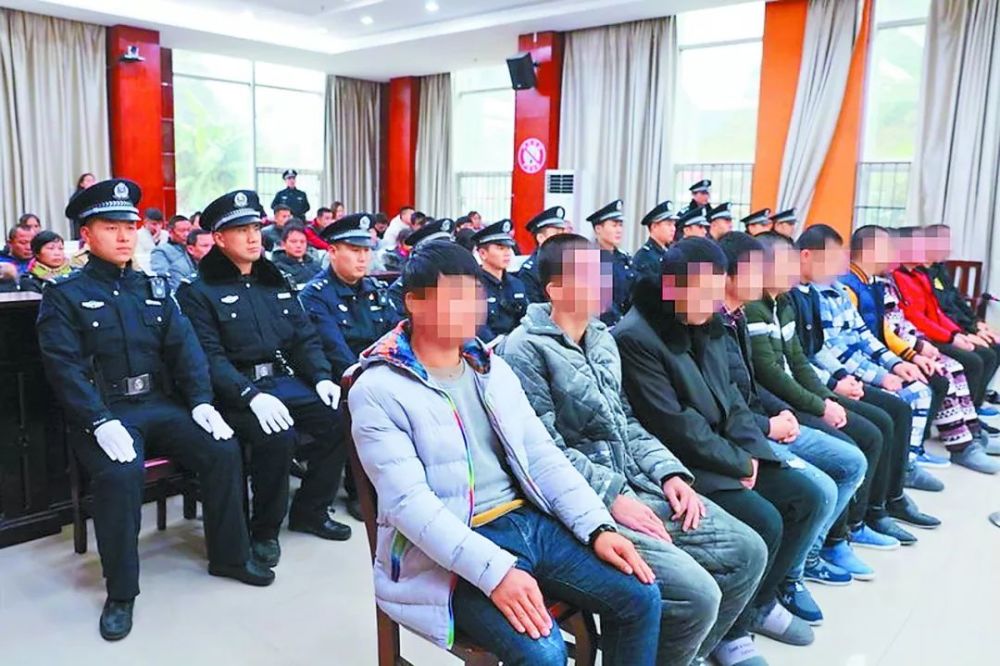 向某明等12人组成的恶势力团伙被人们称为"金城十二少"