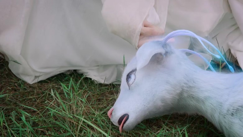 《香蜜沉沉烬如霜》中的吉祥物魇兽,看到原型直接笑翻了