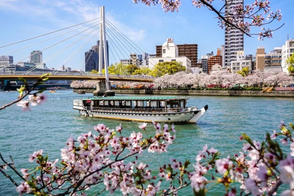 2019日本樱花前线预测,这份赏樱地图拿好