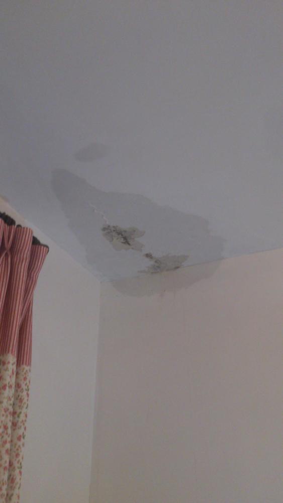 3户人家太阳能全装我家楼顶,防水出现问题还不