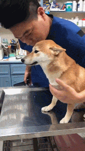 173_305gif 动态图 动图
