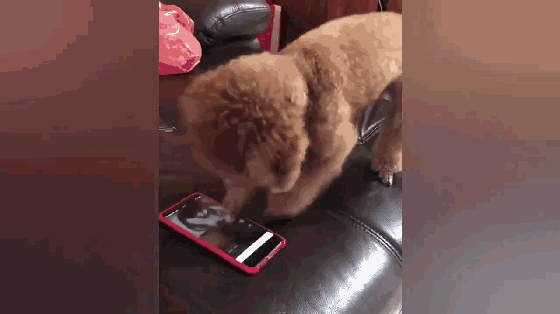 现在低头看手机的你, 颈椎还好吗? 长时间低头玩手机,俯卧看电视看书.