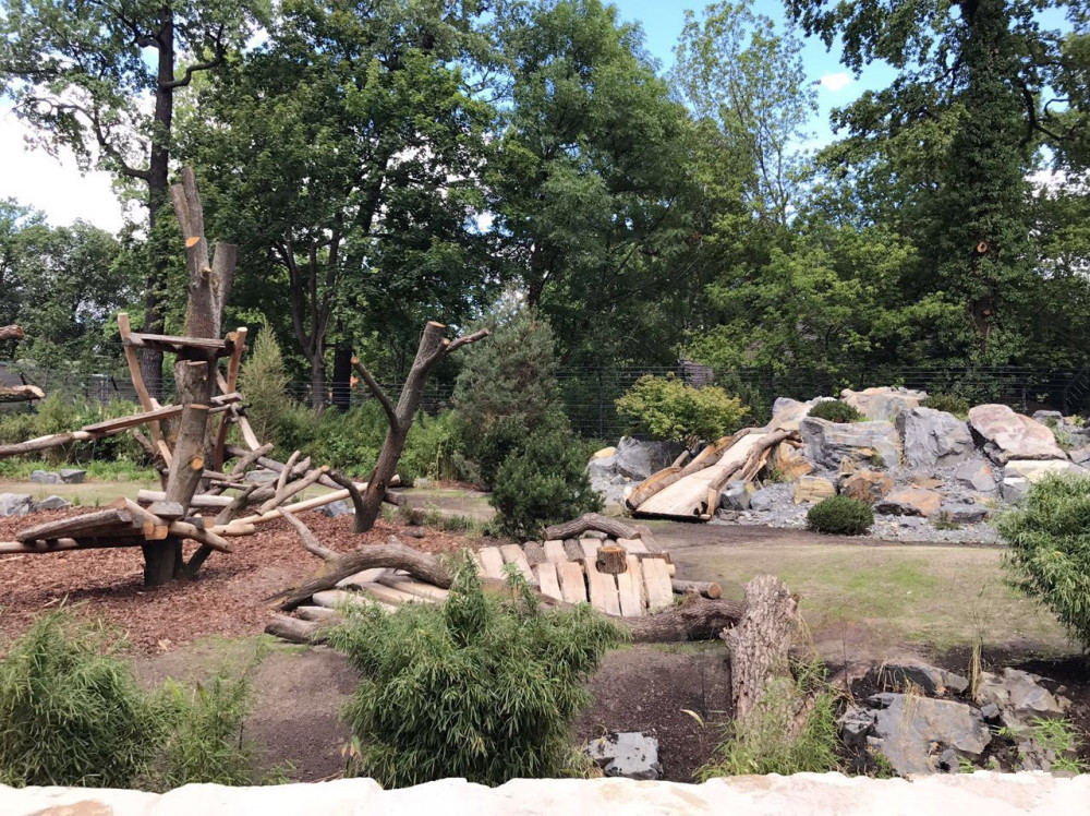 熊猫香香6月回国,日本网友哭求再待几天,国宝