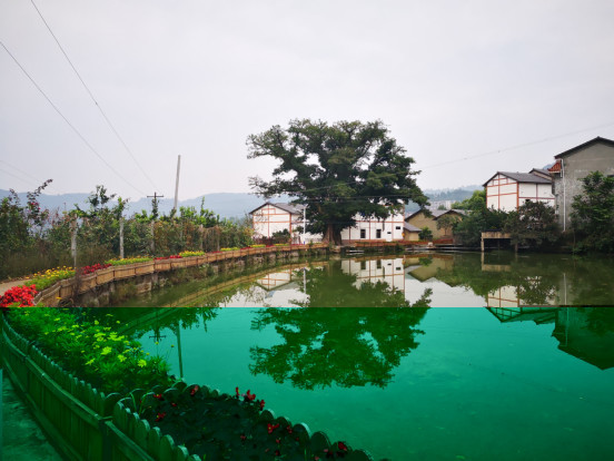 万州区甘宁镇:重拳出击,"大棚房"整治动真格