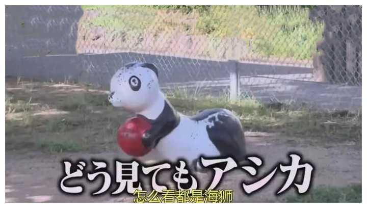 外国人为什么求着高价租大熊猫,日本人:一年能