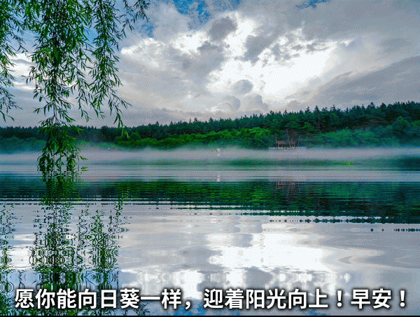 2月6日新版早安问候语动态图片 温馨早上好祝福语暖心句子