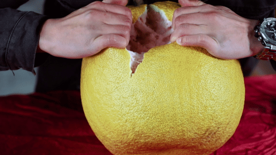 560_315gif 动态图 动图