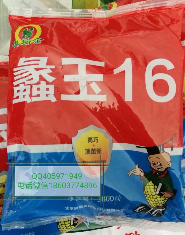 供应登海605先玉335伟科702蠡玉16正大12正大999隆平206登海9号种子