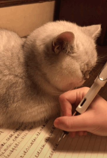 搞笑gif:我真不明白!为什么现在有些孩子不热爱学习?