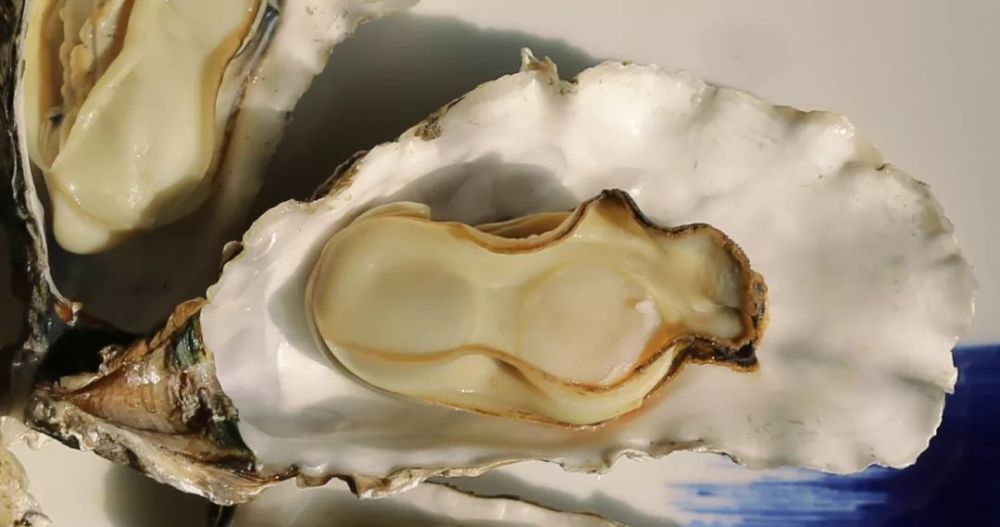 呓语曹妃甸:吃货老周那点事儿——蛎红