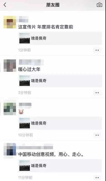 比起小猪佩奇 我更喜欢这只猪