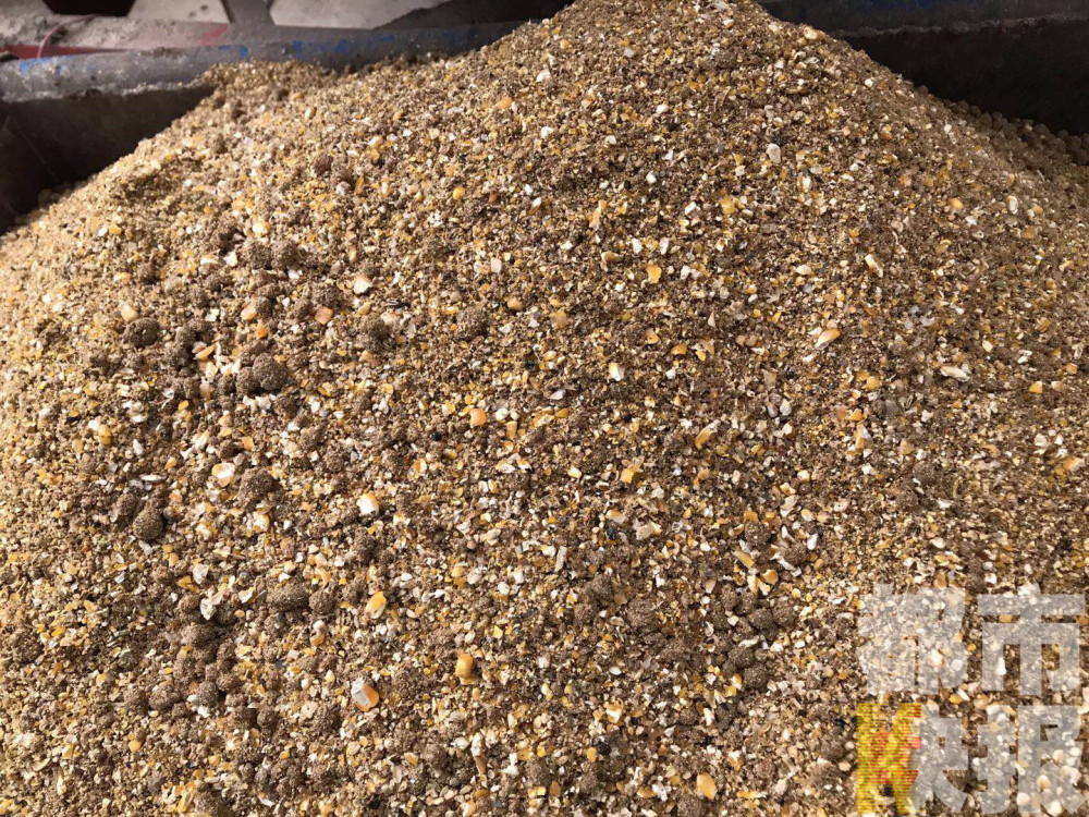 西安夫妻俩秘方养鸡喂茶叶辣椒面 销路却成难