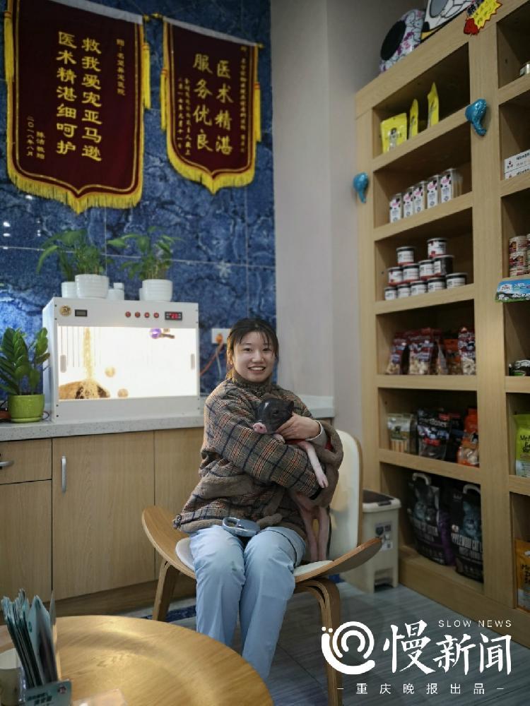 有只小猪佩琪卖得了萌拍得了广告 主人最怕它