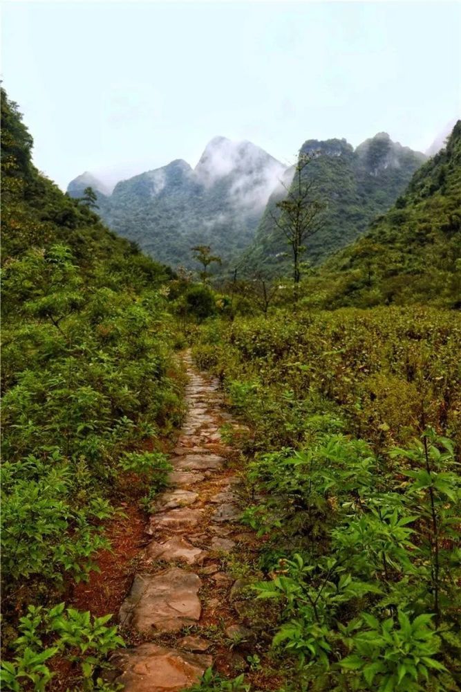 连州市,南粤古驿道,古城,古道,岭南,顺头岭