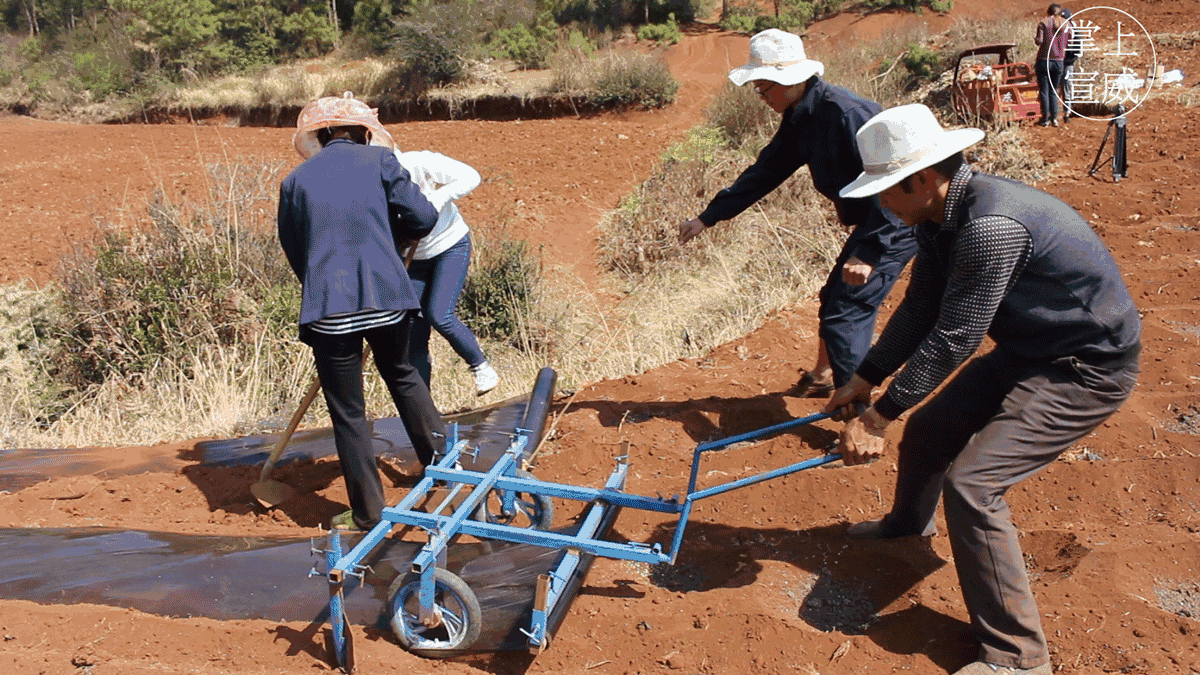 绝了这几位菜农发明的铺膜神器太实用了一人一天可铺4亩地