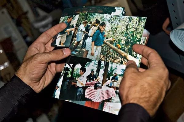 迪士尼,金银岛,佛州