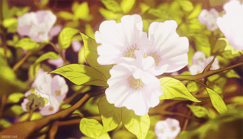 你以为这就完了?