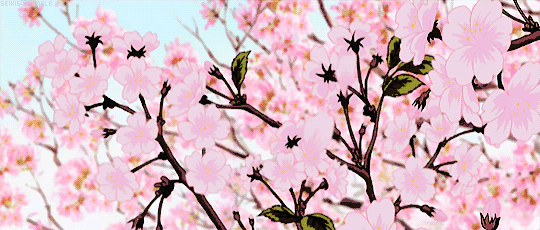 先收下这100段排比!非常实用