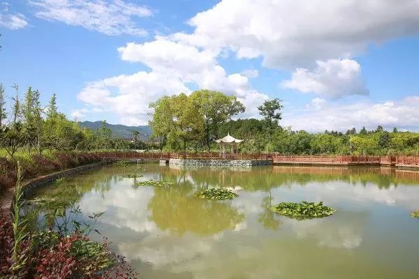 一村万树,东阳市,浙江,城东街道