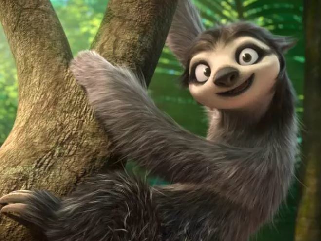 天生微笑脸的三趾树懒它们怎么老是慢吞吞的