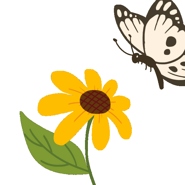 门头沟区|黑色煤村变身“网红打卡地”，门头沟这个花海值得一去