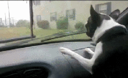 下雨行车9件事，千万要注意！