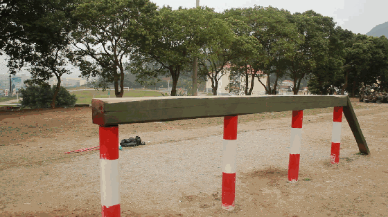 在网络上有很多400米障碍的视频,包括我们的媒体都有很多报道.