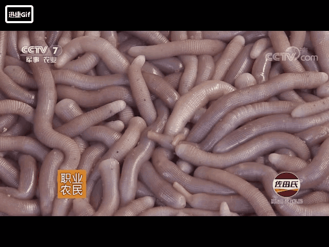 640_480gif 动态图 动图