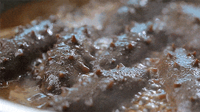 去除海参腥味的小妙招知道太晚浪费太多海参