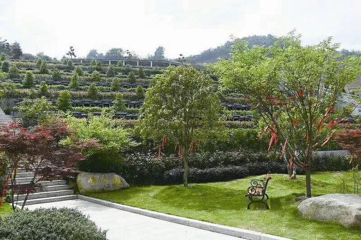 温州有一批90后守墓人女生居多