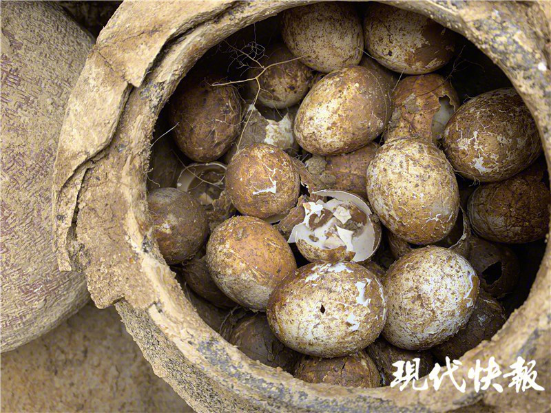 常州溧阳2500多年墓葬里挖出一罐鸡蛋 完好无损