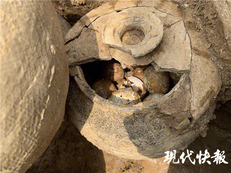 常州溧阳2500多年墓葬里挖出一罐鸡蛋 完好无损