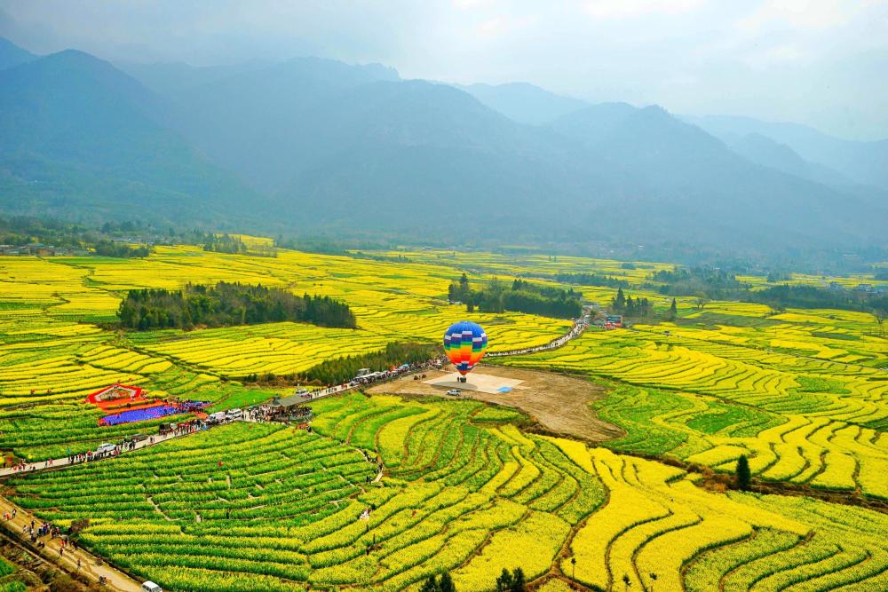 全国各地油菜花花期介绍